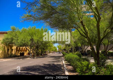 street and green area with palo verde trees in Downtown Tucson, Arizona, United States. City of Tucson. is a city in Arizona, in the Sonoran desert, surrounded by several mountain ranges, including the Sierra de Santa Catalina. The restored mansions of the El Presidio Historic District and the adobe row houses of the Barrio Historico reflect the city's 19th-century beginnings. Tucson is home to the University of Arizona and has many vintage shops, nightclubs and restaurants on Fourth Avenue (© Photo Luis Gutierrez by NortePhoto.com) Centro de la ciudad de Tucson, Arizona ,United States. City o Stock Photo