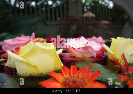 Various flowers floating in a barrel of water Stock Photo