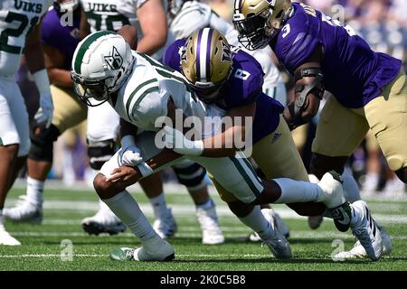 September 10, 2022:*Portland State Vikings quarterback Dante Chachere (15) gets sacked by Washington Huskies defensive lineman Bralen Trice (8during the NCAA Football Game between the Washington Huskies and Portland State Vikings at Husky Stadium in Seattle, WA. Steve Faber/CSM Credit: Cal Sport Media/Alamy Live News Stock Photo