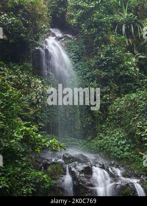 A small waterfall that flows between rocks in a tropical forest West Java, Indonesia Stock Photo