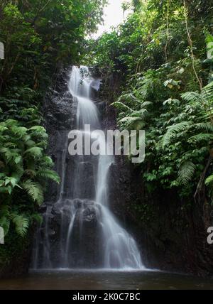 A small waterfall among the trees and leaves in the tropical forest area of ​​West Java, Indonesia Stock Photo