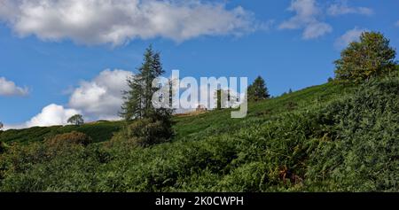 The Gable end of a Ruined Cottage stands on the slope of a fern covered hill near to the Old Military Road, with a blue Sky above with scattered white Stock Photo