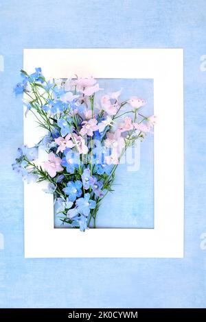 Delphinium flower arrangement summer background border on mottled blue background with white frame.  Used in herbal medicine as a tranquiliser. Stock Photo