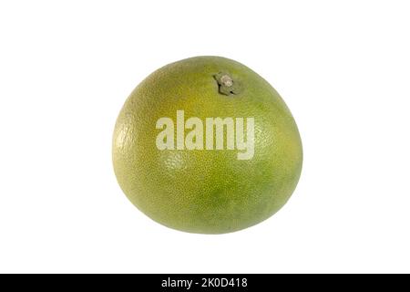 Green pomelo fruit thailand isolated on white background with clipping path. Stock Photo