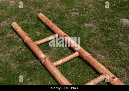Bamboo ladder in the lawn or growth or new opportunity concept Stock Photo