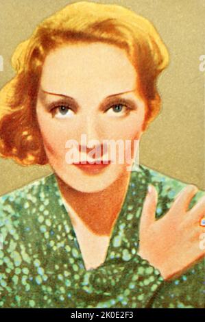 Marie Magdalene 'Marlene' Dietrich (27 December 1901 - 6 May 1992) was a German-born American actress and singer. Her career spanned from the 1910s to the 1980s. Stock Photo