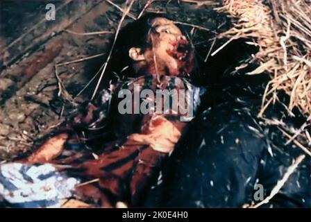 The My Lai massacre, was the mass murder of unarmed South Vietnamese civilians by U.S. troops in Son Tinh District, South Vietnam, on 16 March 1968 during the Vietnam War. Between 347 and 504 unarmed people were killed by U.S. Army soldiers. Stock Photo