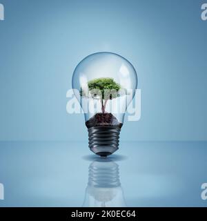 Help the environment by saving electricity. Studio shot of a tree growing inside of a lightbulb. Stock Photo