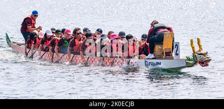 Toronto, Canada - September 10, 2022: A team paddles in a dragon boat during the GWN Dragon Boat Race. Stock Photo