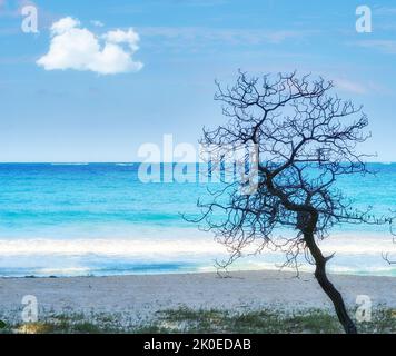 Bellows Field Beach Park - Oahu, Hawaii. A photo of the famous Hawaiian ...