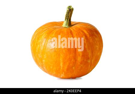 Pumpkin isolated on white background, one small squash, side view of fresh vegetable. Single yellow orange whole pumpkin on Halloween, Thanksgiving. D Stock Photo