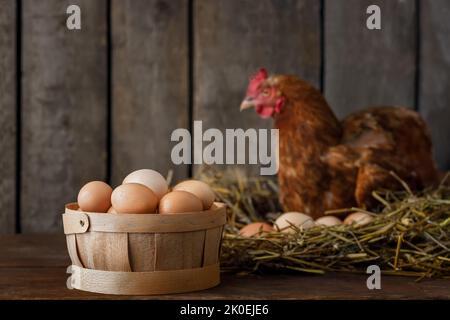 basket full of fresh eggs with red laying hen in nest inside a wooden chicken coop on the background Stock Photo