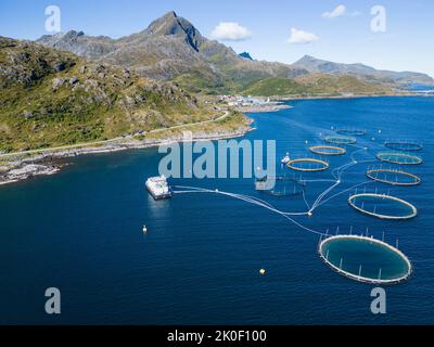 Aquaculture in Lofoten, Norway Stock Photo