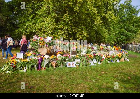 London, England, UK. 11th Sep, 2022. Floral tributes for the Queen in Green Park. Many of the flowers were moved from outside Buckingham Palace while thousands of people also brought new floral tributes. The Queen died on September 8th, aged 96. (Credit Image: © Vuk Valcic/ZUMA Press Wire) Credit: ZUMA Press, Inc./Alamy Live News Stock Photo