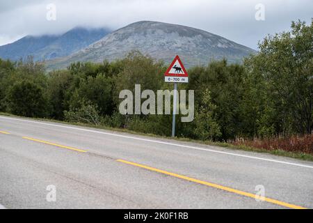 Road sign signaling moose in Lofoten, Norway Stock Photo