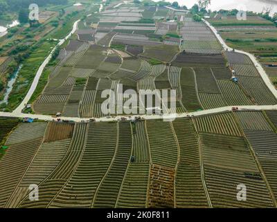 Nanning, Nanning, China. 8th Sep, 2022. On September 7, 2022, in Nanning City, Guangxi Zhuang Autonomous Region, aerial photography of the vast fields of Nazhang Village, Tang District, Xixiang District, saw pieces of autumn farmland crisscrossing the vast land, just like a pencil sketch. Farmers are busy in the fields, showing a good scene of busy autumn planting. (Credit Image: © SIPA Asia via ZUMA Press Wire) Stock Photo