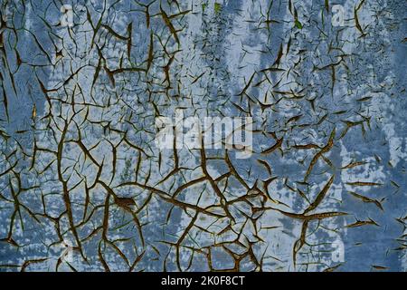 Old cracked blue paint on rusty metal surface Stock Photo