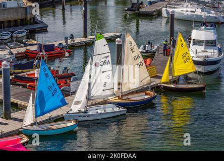colourful small sailing dinghies ready for racing in the river at lymington in hampshire uk, sailing dinghy, coloured sails, sailing boats, dinghies. Stock Photo