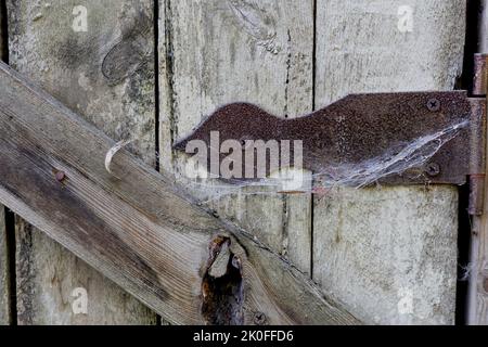 Rusty hinges on rotten doors. Old wooden boards. Background. Copy space Stock Photo