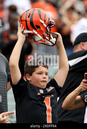 Photo: Bengals Tre Flowers breaks up the pass to Steelers Pat