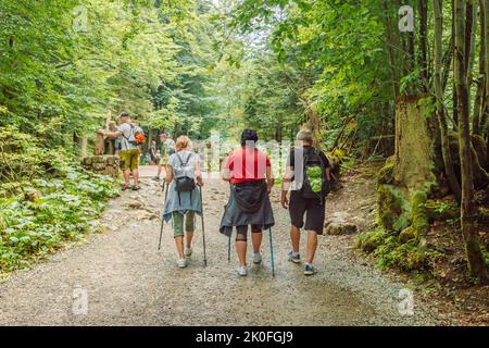 Group of diverse tourists or hikers walks on a top of mountain landscape in Tatras. Zakopane, Poland. Trekkers discover the world. Active lifestyle Stock Photo