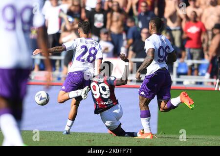 Martínez Quarta and Igor are both good options in Fiorentina's