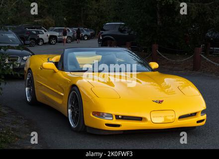 Yellow Chevrolet Corvette C5. The American muscle car Chevrolet C5 Corvette style includes 1997 through 2004-Vancouver BC Canada-August 18,2022. Trave Stock Photo