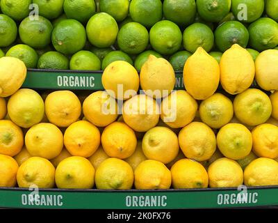 Close up of organic lemons and limes on display for sale at fruit stand. Fresh summer fruit. Stock Photo