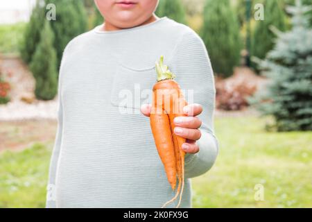 Boy holding imperfect home grown carrot in the hand. Vegetable with strange shape. Organic, fresh and ripe. Full of vitamin A and beta-carotene. Stock Photo