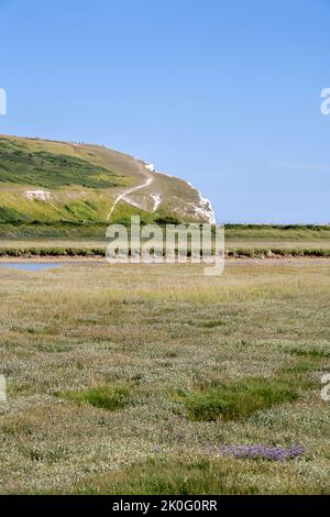 View of Cuckmere Haven and the beginning of the Seven Sisters on a summer afternoon, East Sussex, England Stock Photo