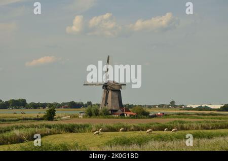 A typical Dutch landscape with windmills, near Alkmaar, North Holland Stock Photo