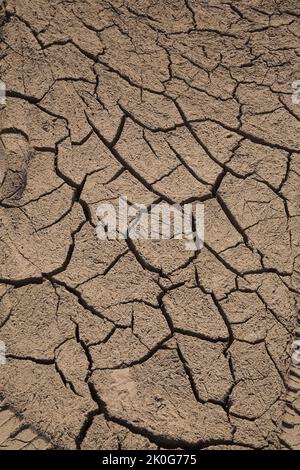 Close-up of cracked and dried mud. Stock Photo