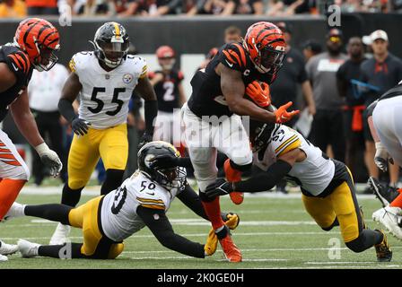 Pittsburgh Steelers linebacker Malik Reed (50) runs after the ball during  an NFL football game against the Cleveland Browns, Thursday, Sept. 22,  2022, in Cleveland. (AP Photo/Kirk Irwin Stock Photo - Alamy