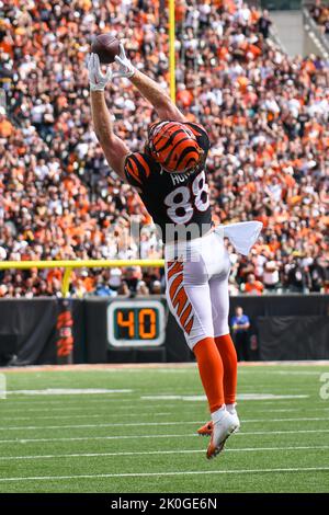 Photo: Bengals Hayden Hurst catchs over Panthers Myles Hartsfield -  KYP20221106010 