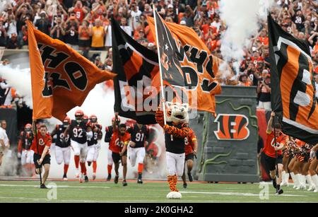 Photo: Bengals Tre Flowers breaks up the pass to Steelers Pat Freiermuth -  KYP20220911040 