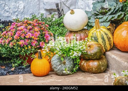Autumn outdoor pumpkin and flower arrangement on steps - selective focus Stock Photo