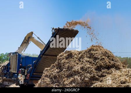 In preparation for the construction of housing developments, a shredder machine is being used to work on a piece of land to shred the roots to chips Stock Photo