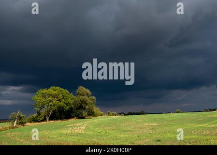 Dark rain clouds pass over the Fläming in eastern Saxony-Anhalt, Leitzkau, Saxony-Anhalt, Germany Stock Photo