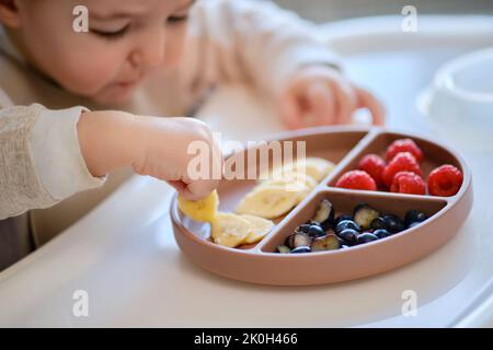 Toddler baby eats fruits and berries with his hand, table close-up. Child hands take food from a beige plate. Kid aged one year and two months Stock Photo