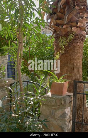 Ancient ruins in modern times. ancient Roman ruins in Turkey. Stock Photo