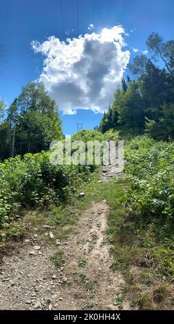 A vertical shot of a dirt trail going up on a sloping ground Stock Photo