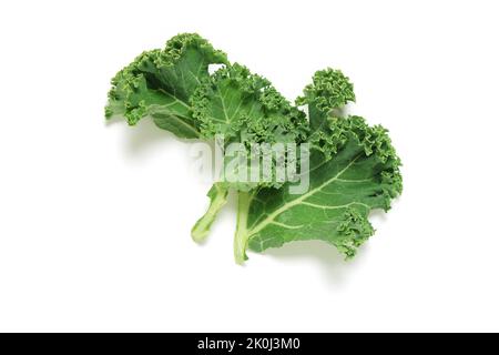 Piece of fresh Kale on white background, shot from above cut out Stock Photo