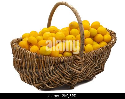 Basket with Spillingen plums isolated on white background Stock Photo