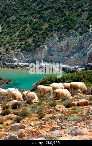 Cala Domestica creek, Buggerru, Sardinia, Italy Stock Photo