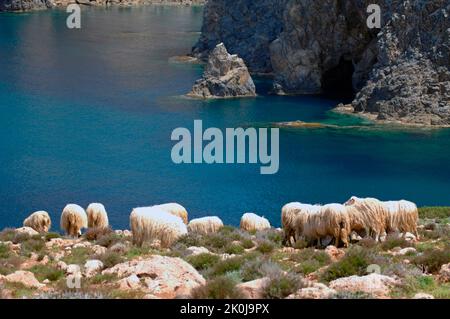 Cala Domestica creek, Buggerru, Sardinia, Italy Stock Photo