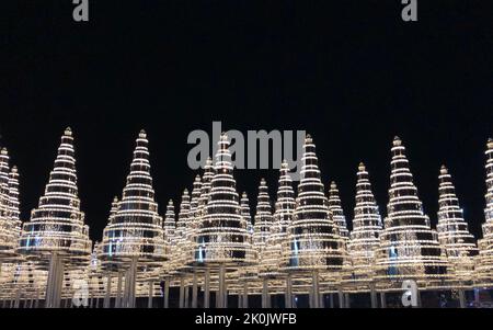 Sparkler christmas tree on black background Stock Photo