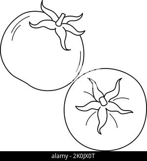 Tomato Fruit Isolated Coloring Page for Kids Stock Vector