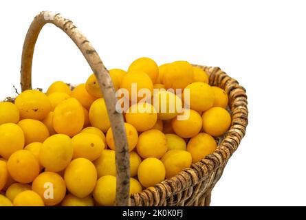 Spilling plums in a basket isolated on a white background Stock Photo