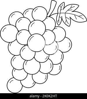 grapes fruit black and white