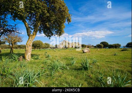 Nuraghe Arrubiu, Orroli, Provincia di Cagliari, Sardinia, Italy, Europe Stock Photo